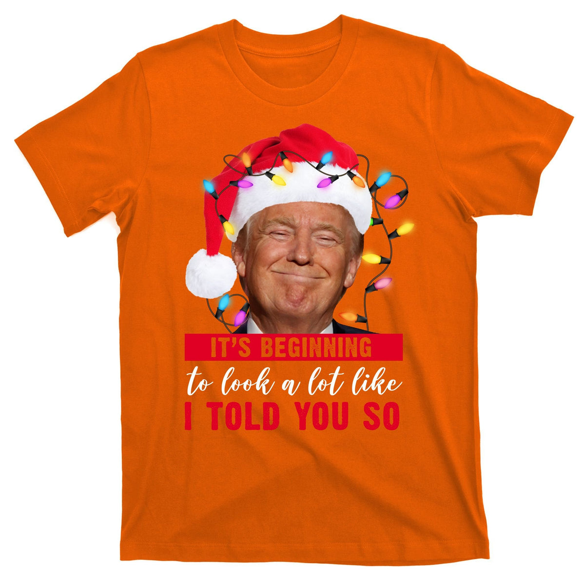 It's Beginning To Look A Lot Like I Told You So Funny product image 5