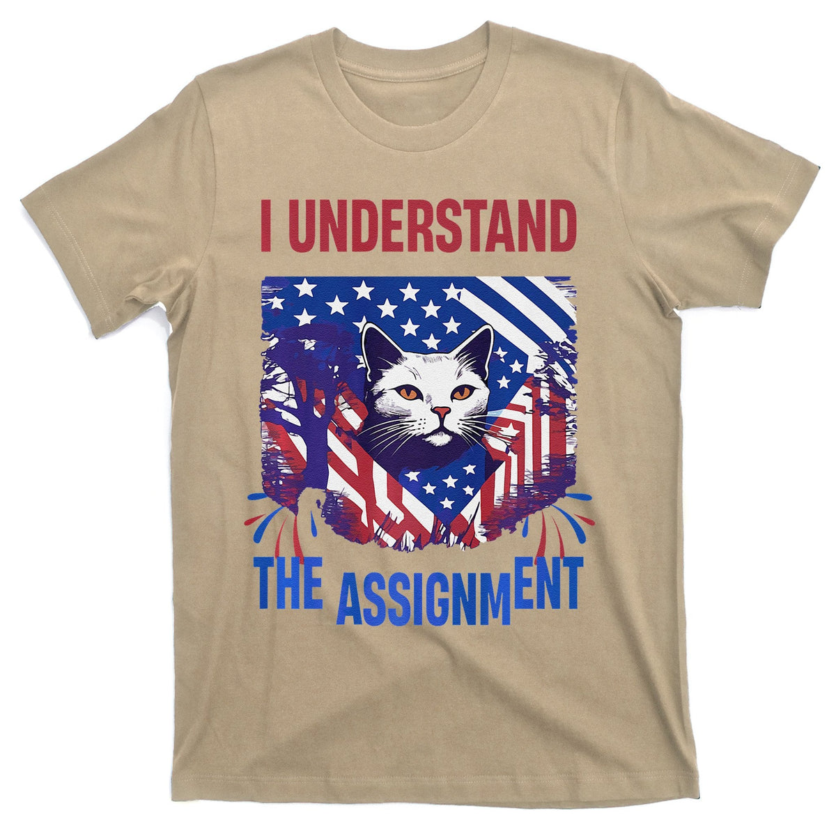 I Understand The Assignment Meme T-Shirt product image 1